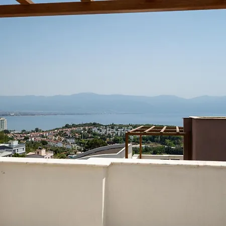 Ada Vila *
